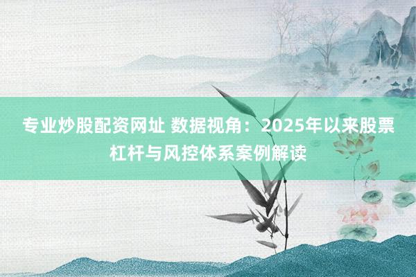 专业炒股配资网址 数据视角：2025年以来股票杠杆与风控体系案例解读